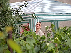 P7130006.JPG P7130006.JPG