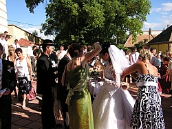 P7140089.JPG P7140089.JPG