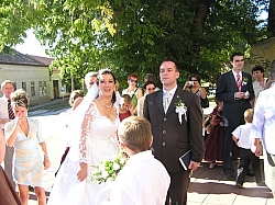 P7140090.JPG P7140090.JPG