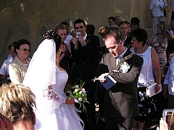 P7140091.JPG P7140091.JPG