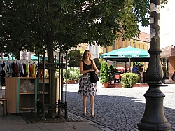 P7160110.JPG P7160110.JPG