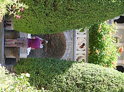 P7160112.JPG P7160112.JPG