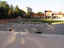 P7160136.JPG P7160136.JPG