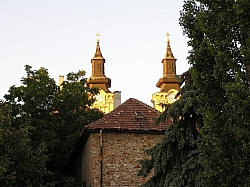 P7160149.JPG P7160149.JPG