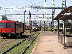 P7170153.JPG P7170153.JPG