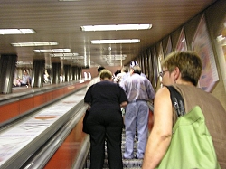 P7170169.JPG P7170169.JPG