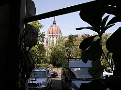 P7180177.JPG P7180177.JPG