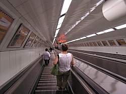 P7180181.JPG P7180181.JPG