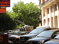 P7180183.JPG P7180183.JPG