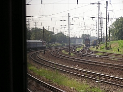 P7190195.JPG P7190195.JPG