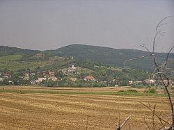 P7190203.JPG P7190203.JPG