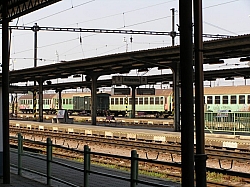 P7190205.JPG P7190205.JPG