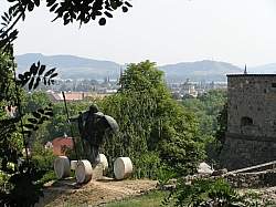 P7190221.JPG P7190221.JPG