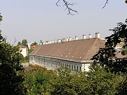 P7190222.JPG P7190222.JPG