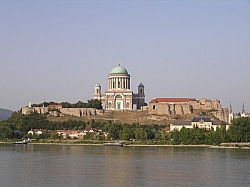 P7190231.JPG P7190231.JPG