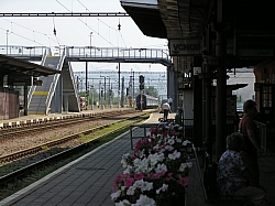 P7200242.JPG P7200242.JPG