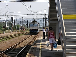 P7200248.JPG P7200248.JPG