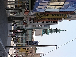 P7210270.JPG P7210270.JPG