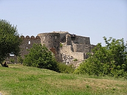 P7210277.JPG P7210277.JPG