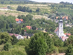 P7210278.JPG P7210278.JPG