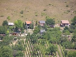 P7210279.JPG P7210279.JPG