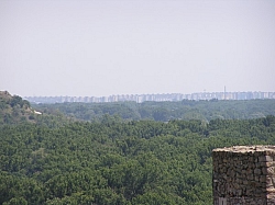 P7210284.JPG P7210284.JPG