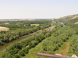 P7210286.JPG P7210286.JPG