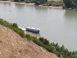 P7210288.JPG P7210288.JPG