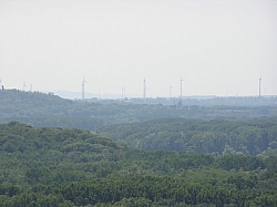 P7210291.JPG P7210291.JPG