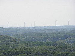 P7210292.JPG P7210292.JPG