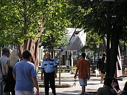 P7210306.JPG P7210306.JPG