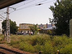 P7220329.JPG P7220329.JPG