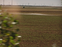 P7220333.JPG P7220333.JPG