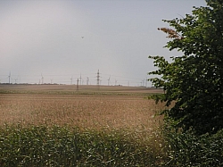 P7220334.JPG P7220334.JPG