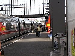 P7230346.JPG P7230346.JPG