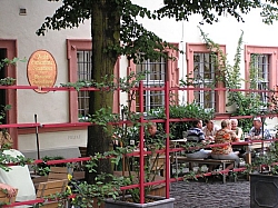 P7230381.JPG P7230381.JPG