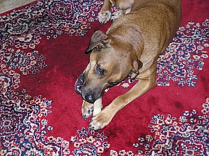 PC250030.JPG