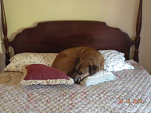 2010-05-10_026.jpg