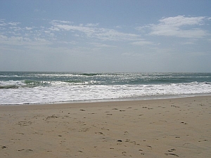 IMG_0141.JPG