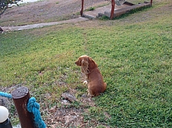 DSCF0005.JPG DSCF0005.JPG