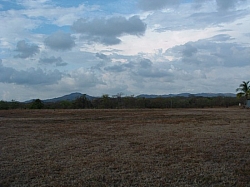 DSCF0006.JPG DSCF0006.JPG