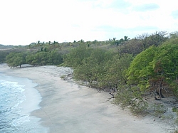 DSCF0009.JPG DSCF0009.JPG