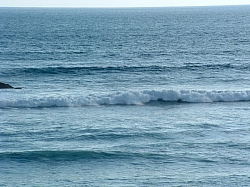 DSCF0010.JPG DSCF0010.JPG