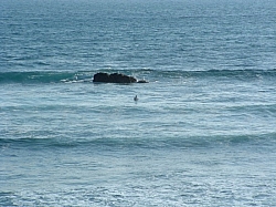 DSCF0011.JPG DSCF0011.JPG