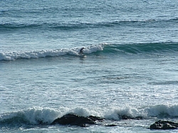 DSCF0013.JPG DSCF0013.JPG