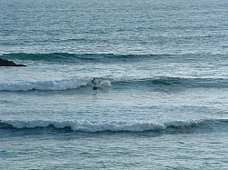 DSCF0017.JPG DSCF0017.JPG