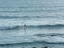 DSCF0018.JPG DSCF0018.JPG