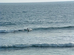 DSCF0020.JPG DSCF0020.JPG