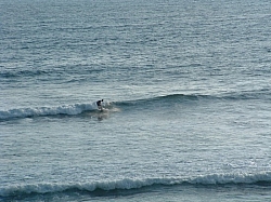 DSCF0021.JPG DSCF0021.JPG