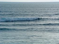 DSCF0022.JPG DSCF0022.JPG